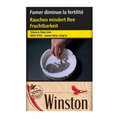 Cartouche de cigarettes Winston Authentic